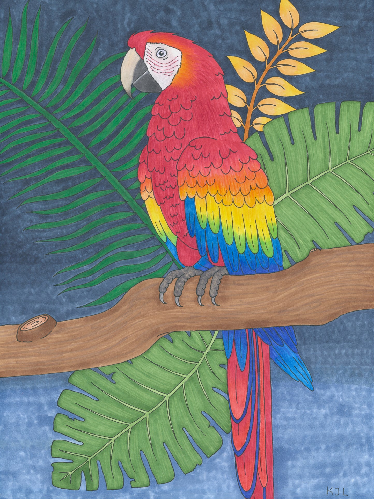 Papegøje - farvet plakat